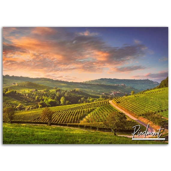 Piedmont Italy Vineyard Sunset Countryside Travel Photo Poster