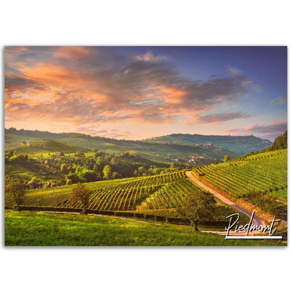 Piedmont Italy Vineyard Sunset Countryside Travel Photo Poster