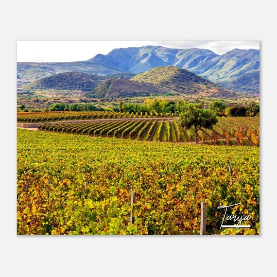 Tarija Vineyard Mountain Valley Rolling Hills Landscape Art Print