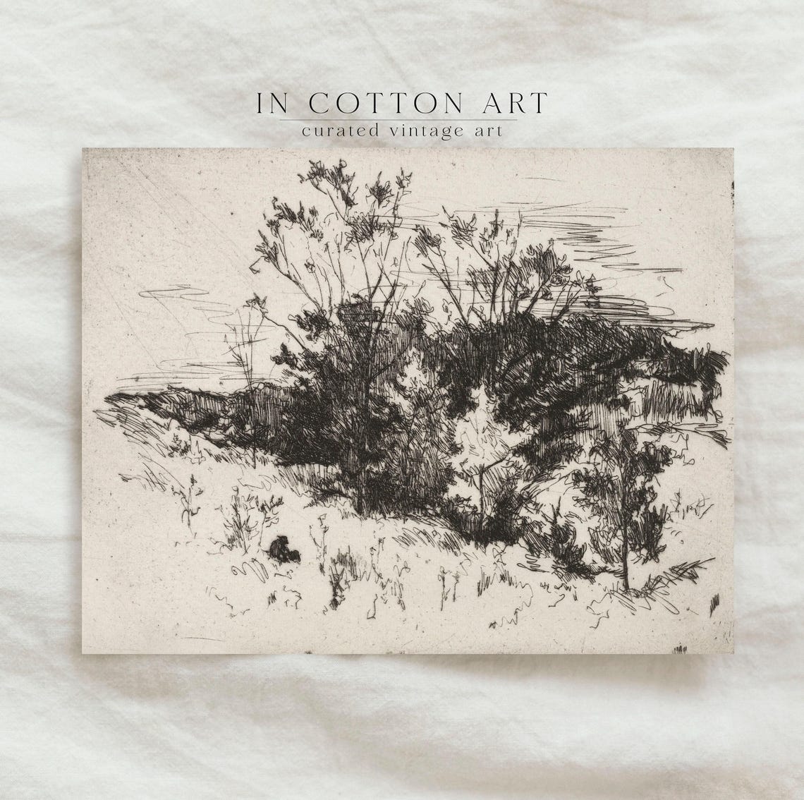 Antique Ink Etching Landscape Sketch Rustic Tree Thicket Art Print