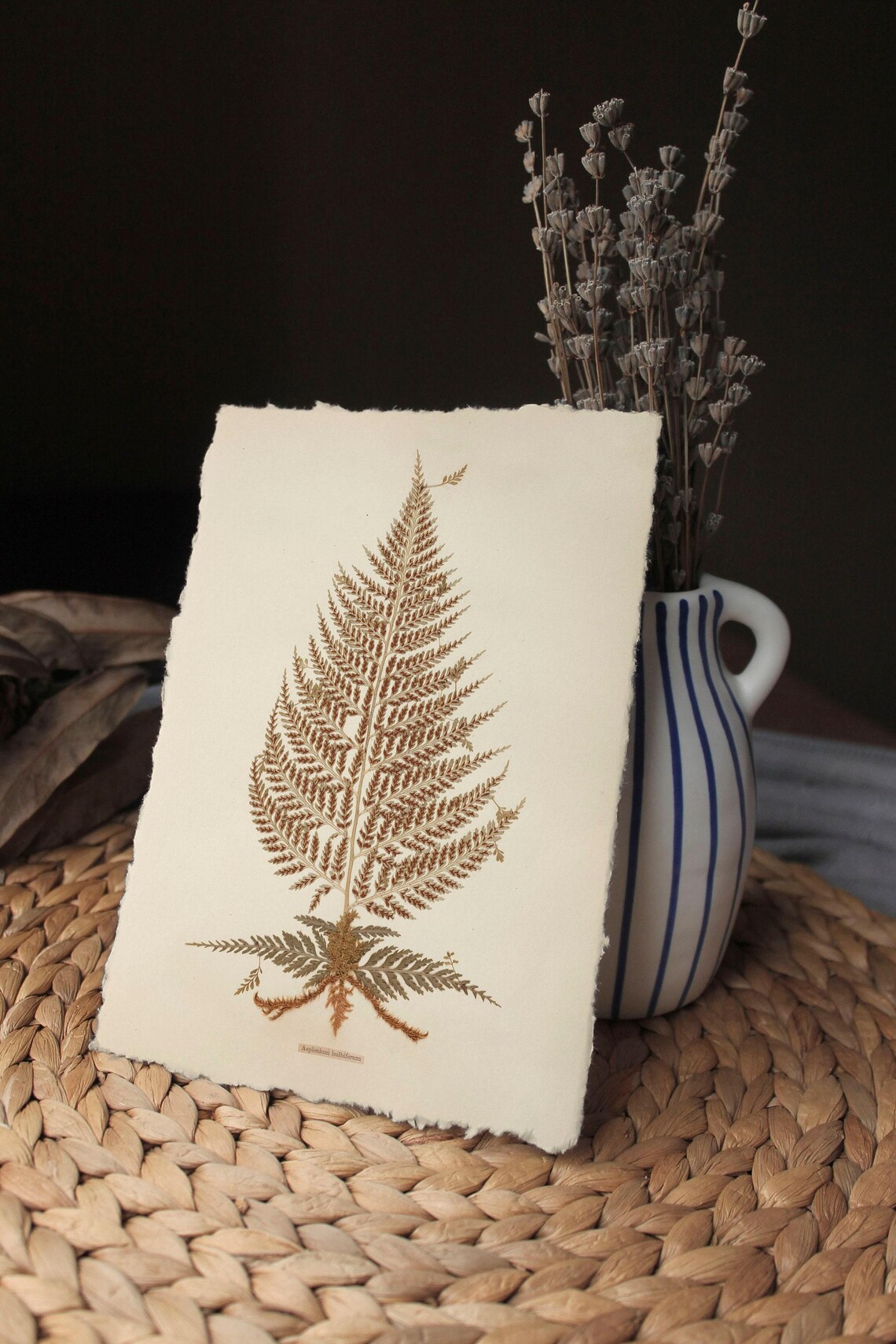 Vintage Kitchen Fern Botanical Art Print, Farmhouse - Image 3