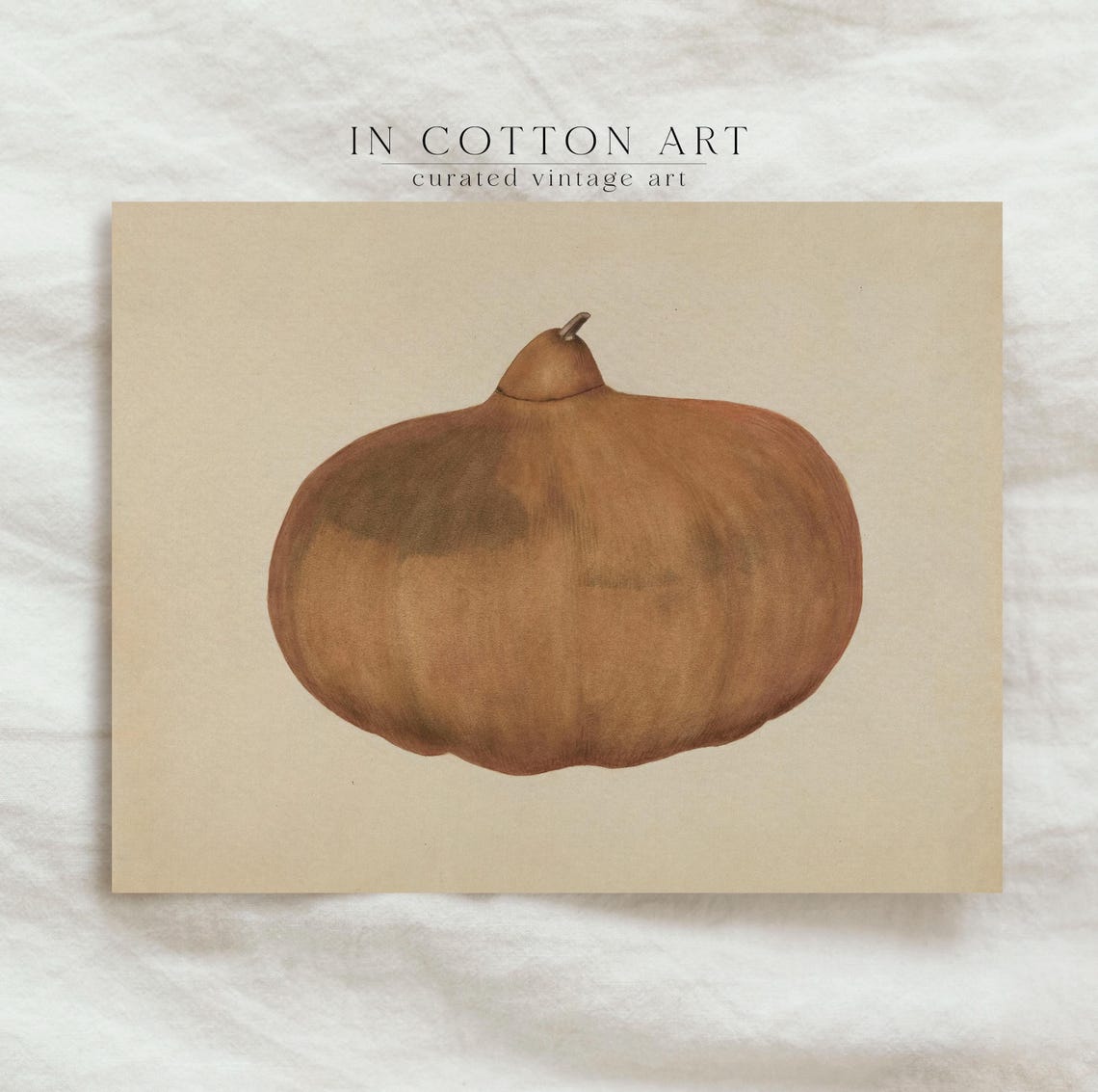 Vintage Autumn Pumpkin Botanical Squash Study Fall Harvest Art Poster