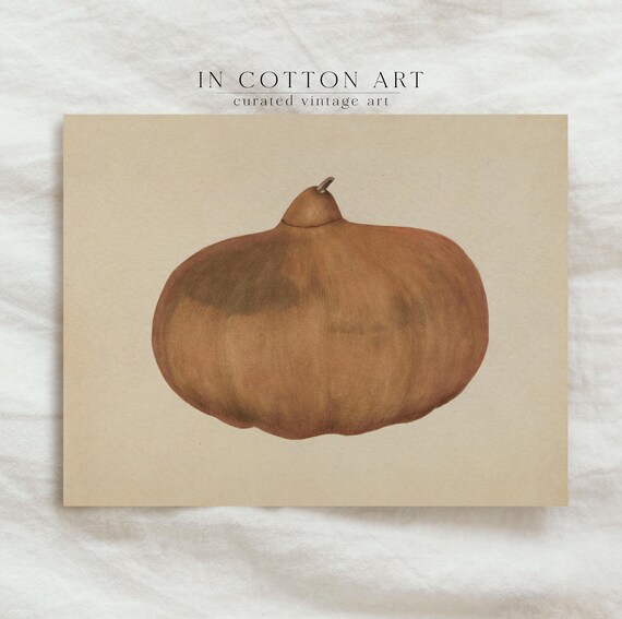 Vintage Autumn Pumpkin Botanical Squash Study Fall Harvest Art Poster
