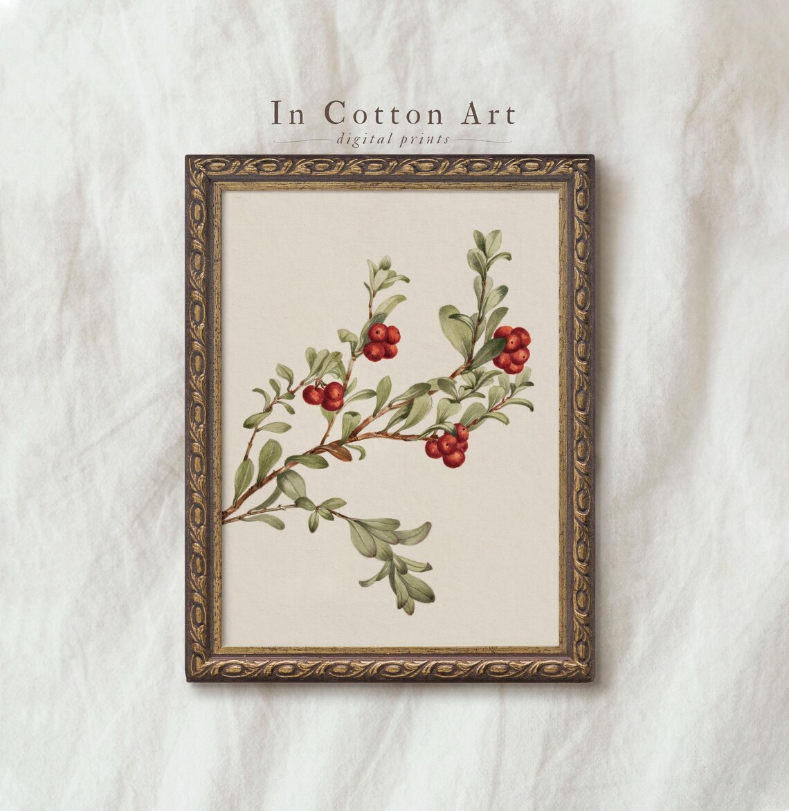 Watercolor Christmas Greenery, Holiday Botanical Art Print
