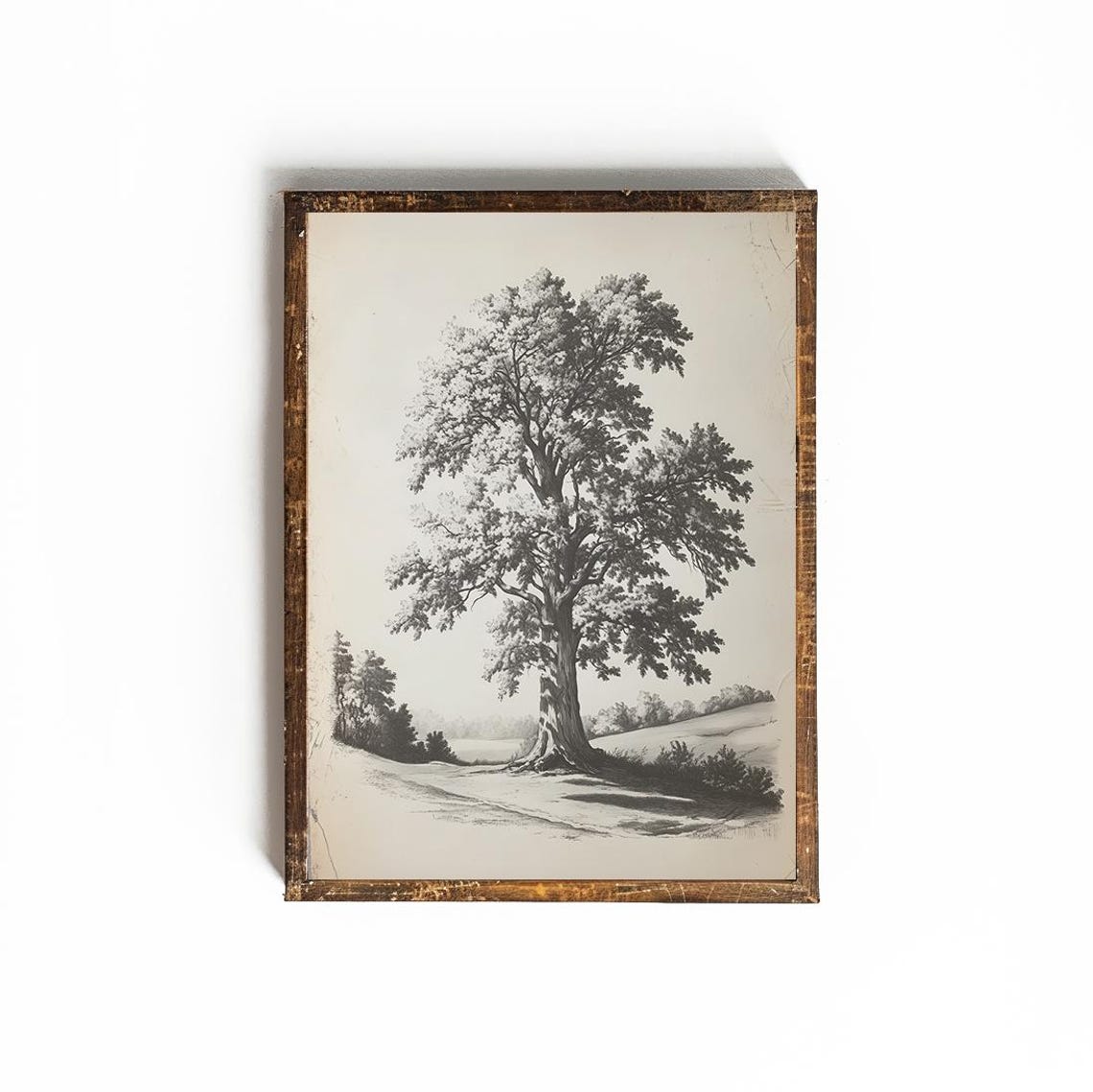 Majestic Oak Tree Vintage Engraving Style Botanical Sketch Poster - Image 2