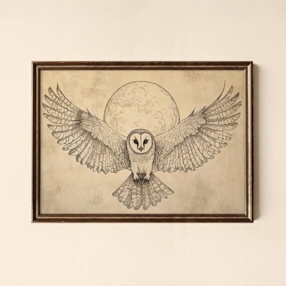 Owl Print Minimalist Drawing Bedroom Wall Art Collected Prints Cpl843