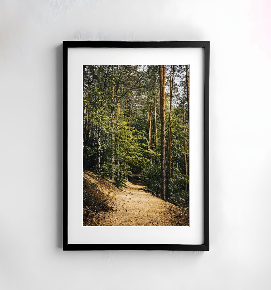 Forest Photography Nature Wall Art Print