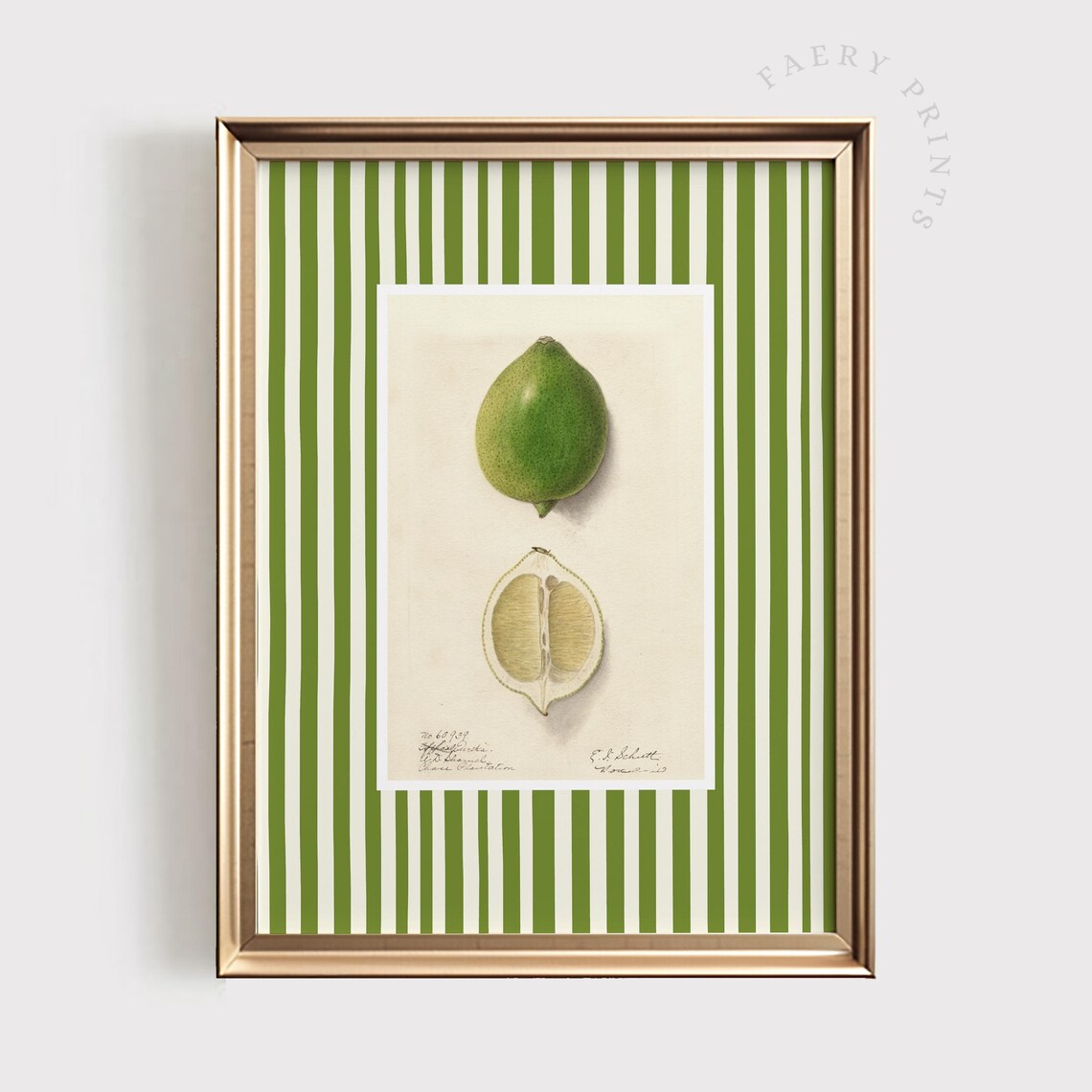 Lime Citrus Print, Modern Farmhouse Kitchen Art