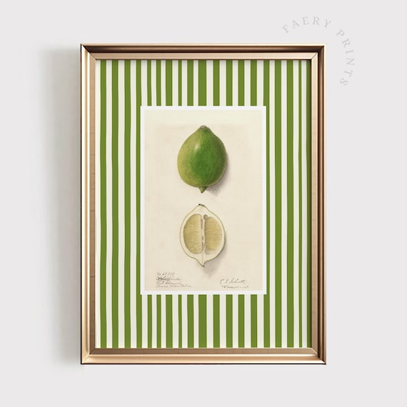 Lime Citrus Print, Modern Farmhouse Kitchen Art