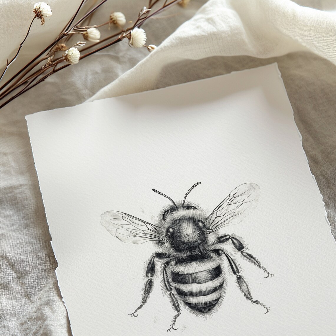 Bee Print Wall Art, Honey Bee Sketch Artwork - Image 5