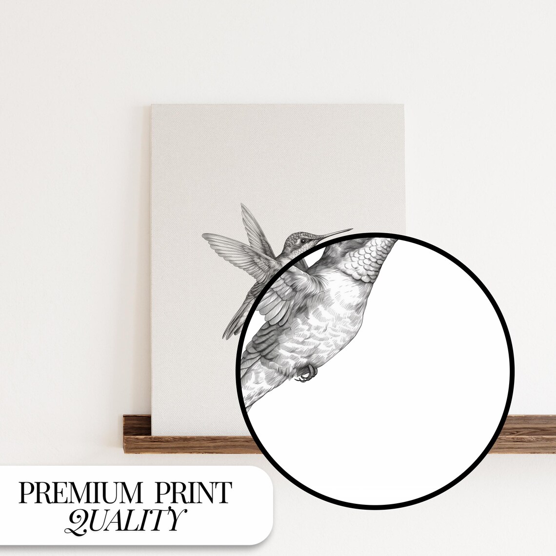 Hummingbird Sketch Black and White Bird Art Print - Image 2