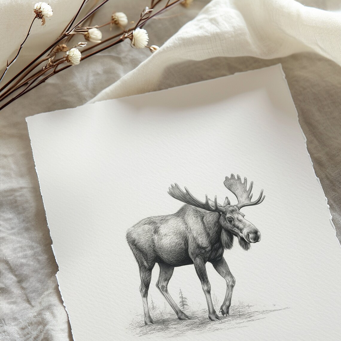 Moose Sketch Antler Animal Art Print, Neutral Wildlife - Image 4