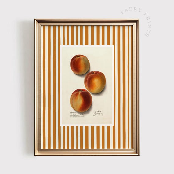 Peach Fruit Print Peachy Kitchen Wall Art Modern Farmhouse Summer Decor Vintage 1445