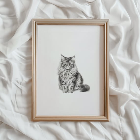 Maine Coon Cat Sketch, Black And White Art Print