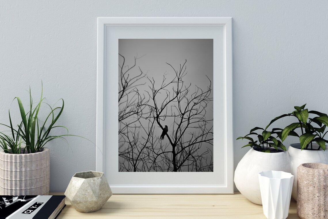 Bird On Bare Branches Black White Moody Misty Nature Photo Art Poster