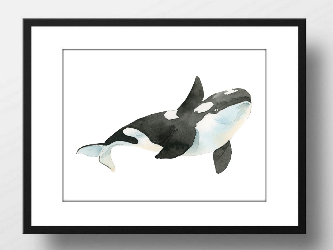 Orca Killer Whale Black White Watercolor Ocean Marine Life Wall Art