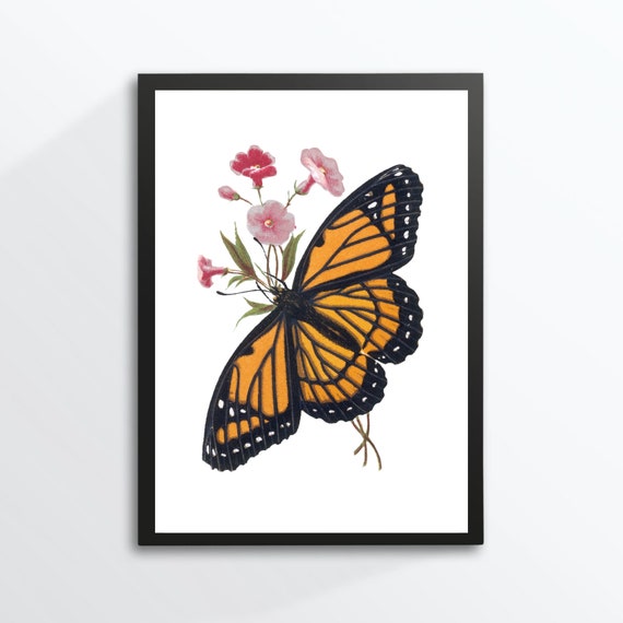Din A4 Art Print Unframed Butterfly Monarch Butterfly Antique Retro Flowers Romance Nature Picture Poster Gift