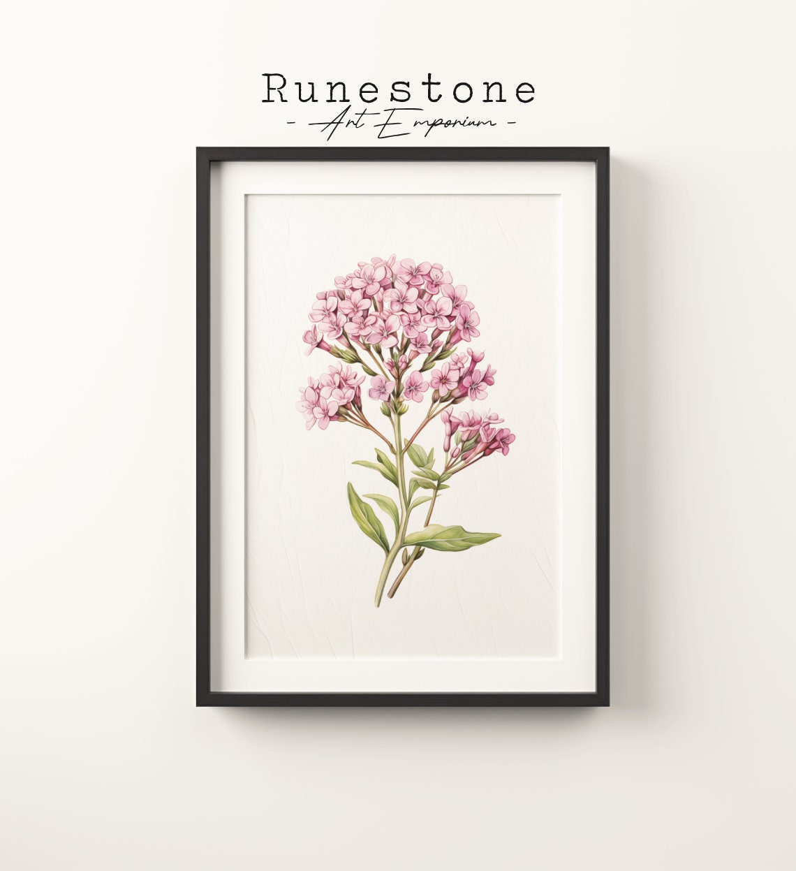 Vintage Valerian Flowers Sketch Floral Boho Wall Art Tropical Minimalist Bohemian Hand Drawn Print