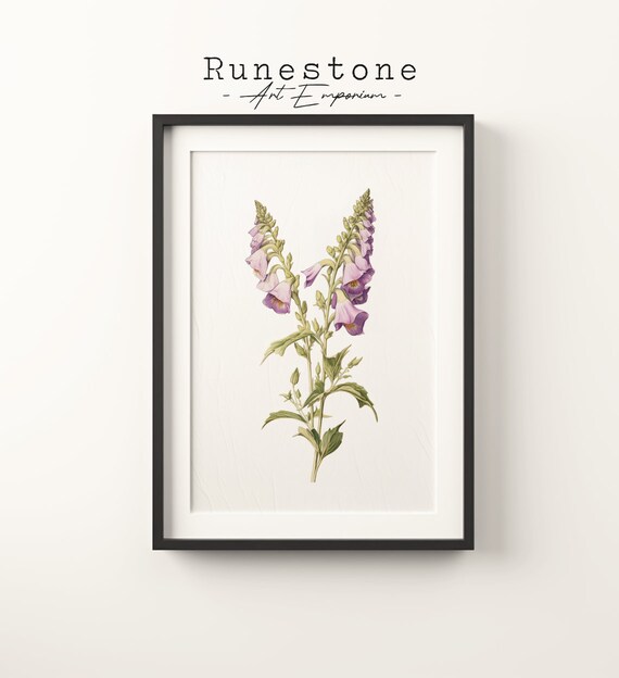Vintage Botanical Foxglove Purple Flower Illustration Wall Art