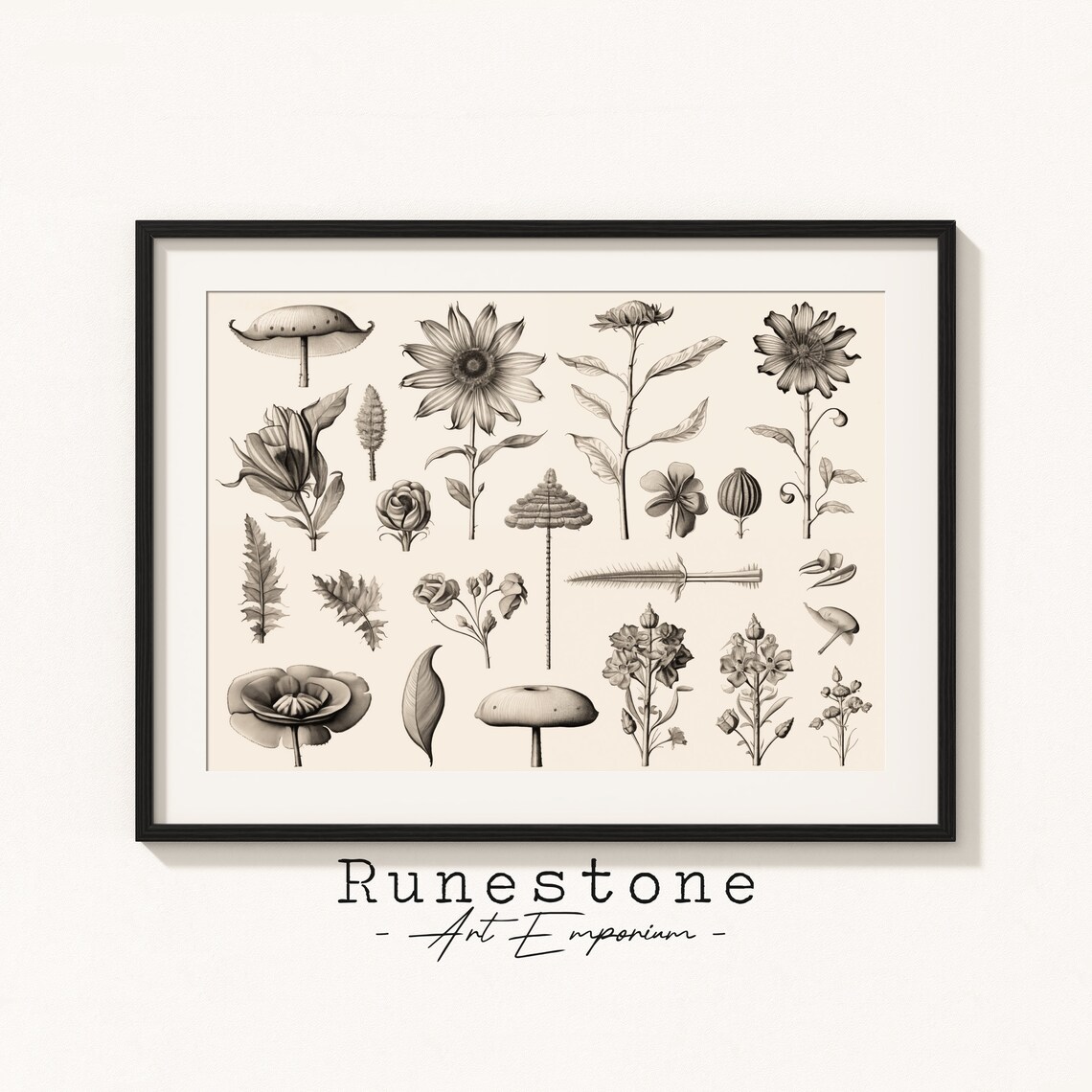Various Botanical Sketches Vintage Scientific Drawings Minimal Landscape Pencil Drawing Decor Neutral Art Print