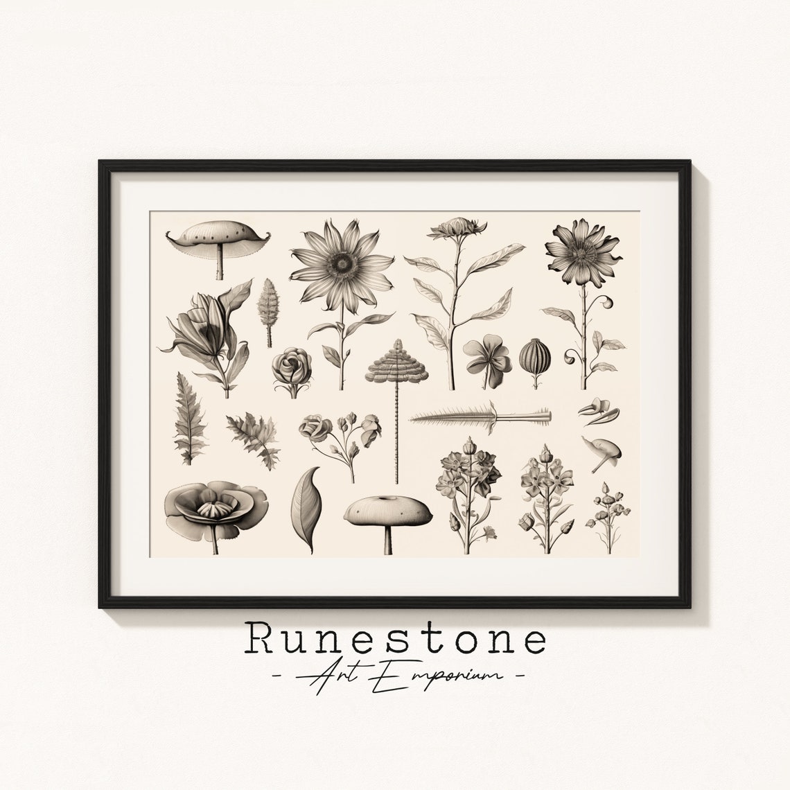 Vintage Botanical Chart Flowers Mushrooms Pencil Sketch Art Poster