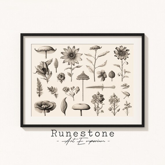 Various Botanical Sketches Vintage Scientific Drawings Minimal Landscape Pencil Drawing Decor Neutral Art Print