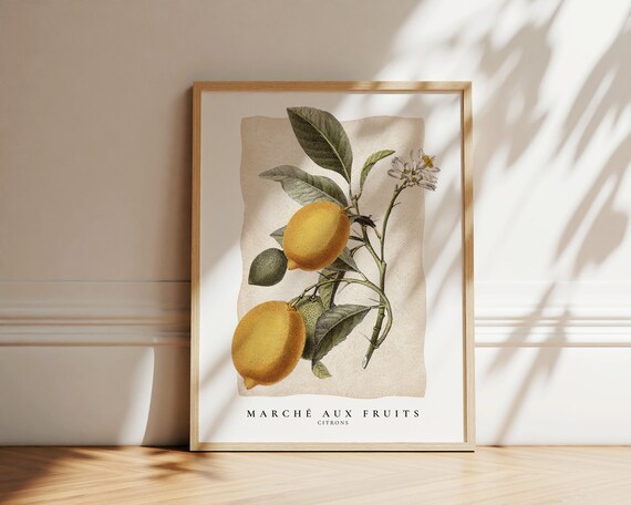 Marche Aux Fruits Print Fruit Market Poster French Marche Citrons Print Lemons Fruit Market Art Modern Trendy Kitchen Wall Art Decor