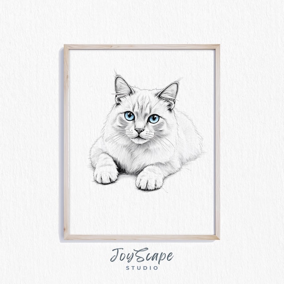 Cream Ragdoll Cat with Blue Eyes Minimalist Line Drawing Poster