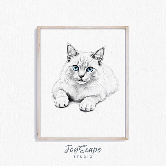 Ragdoll Cat Sketch Charming Art Relaxed Feline Illustration Rustic Nursery Decor Animal Wall