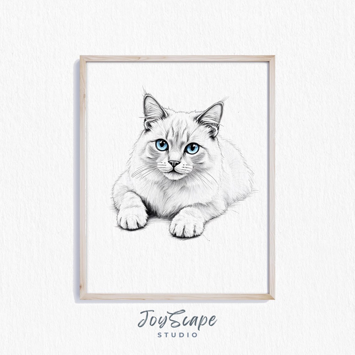 Cream Ragdoll Cat with Blue Eyes Minimalist Line Drawing Poster