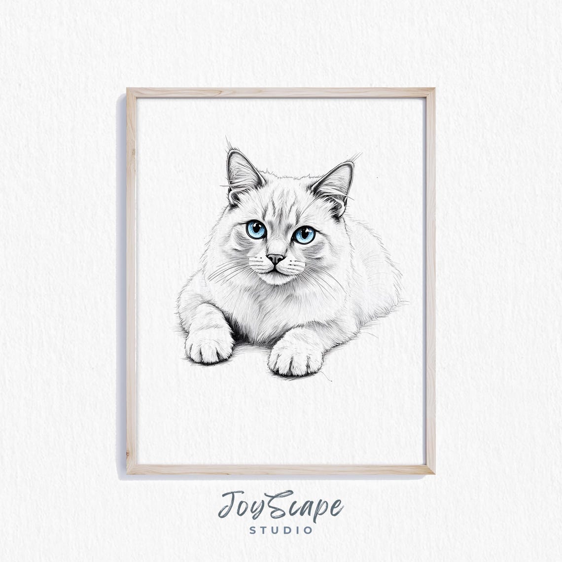 Ragdoll Cat Sketch Charming Art Relaxed Feline Illustration Rustic Nursery Decor Animal Wall
