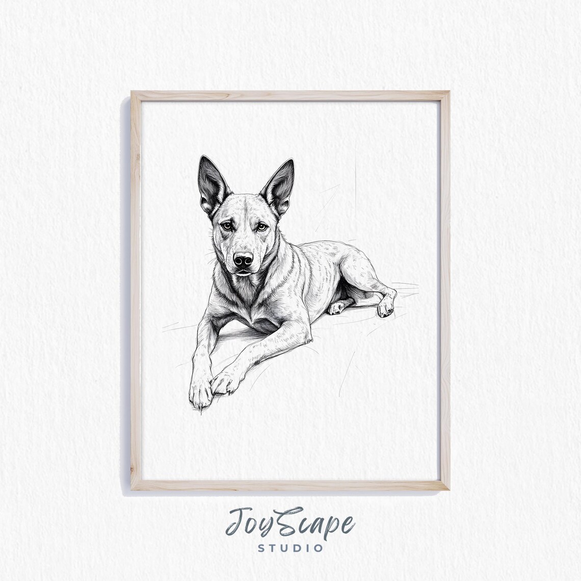 Australian Cattle Dog Sketch Black And White Farm Dog Portrait Poster