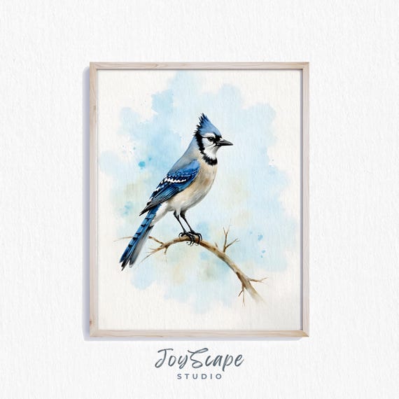 Blue Jay Watercolor Art Rustic Bird Painting Natureinspired Decor Nursery Wall Instant 252