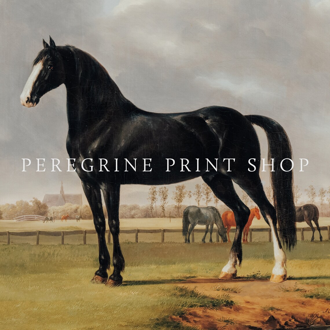 Pretty Boy Horse, French Provincial Vintage Art Print - Image 2