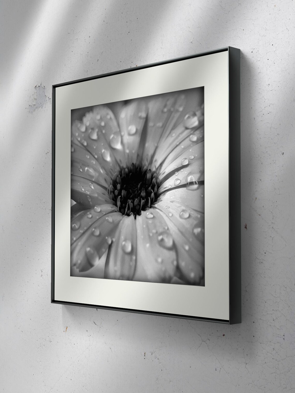 Black And White Flower Close-Up, Elegant Floral Art - Image 3