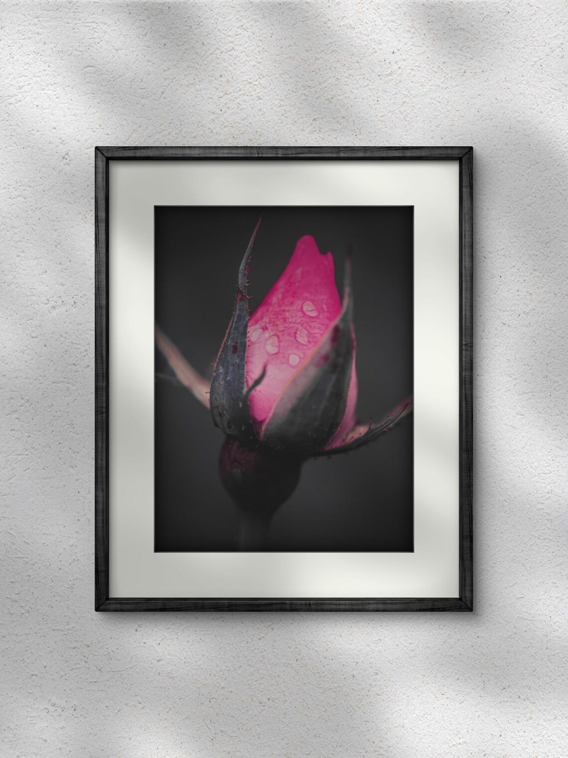 Rose Photography, Botanical Floral Wall Art Print - Image 3