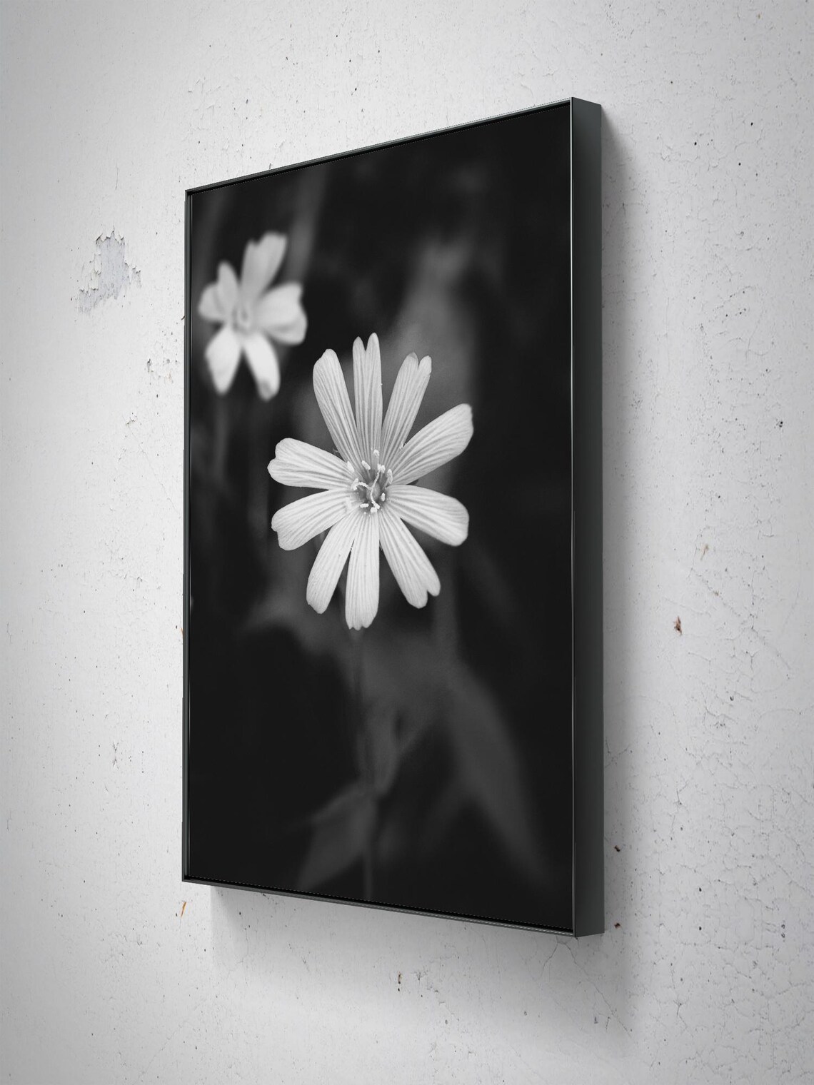 Black And White Flower Close Up, Elegant Floral - Image 2