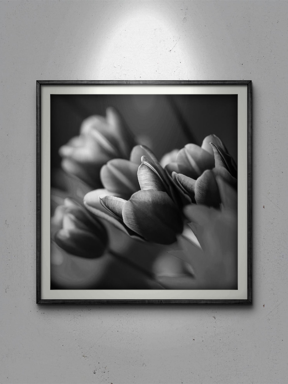 Tulip Close Up Photograph, Elegant Floral Art Print - Image 3