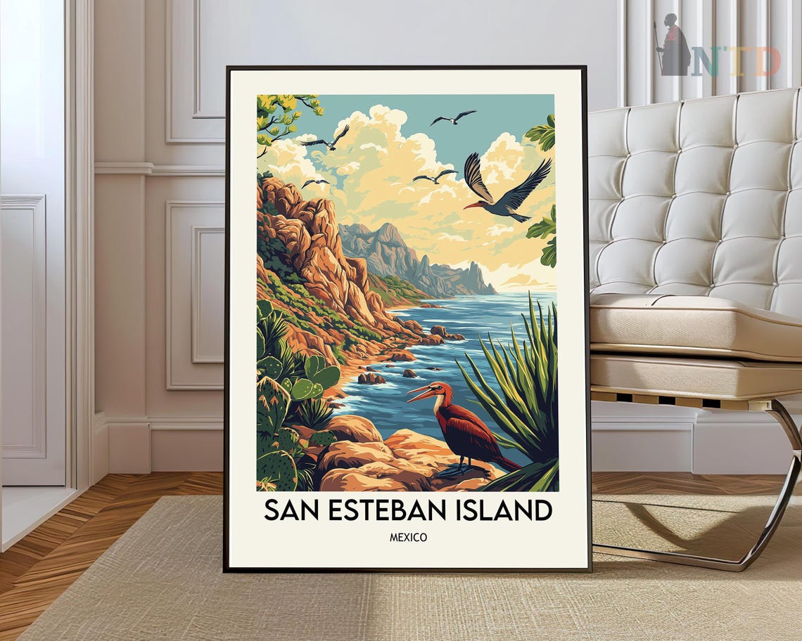 San Esteban Island Rocky Coast Pelican Sea Birds Mexico Travel Poster