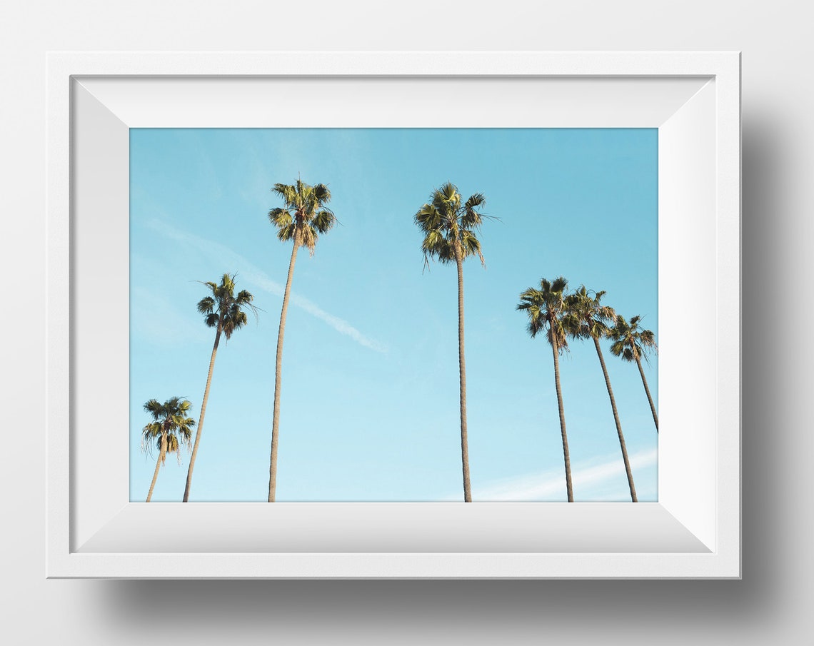 Palm Trees Blue Sky Minimalist Tropical Beach Photo Poster Wall - Image 2