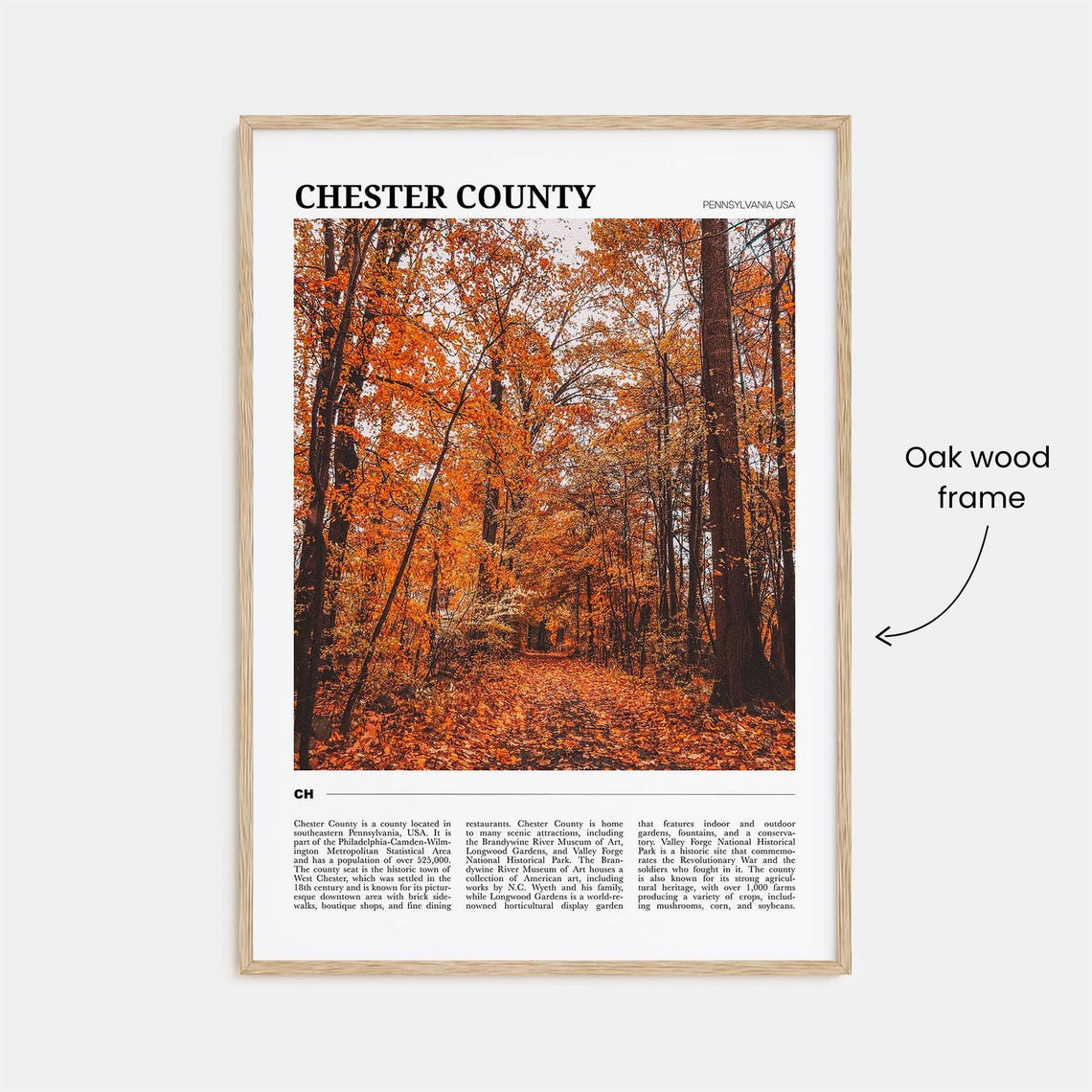 Chester County Pennsylvania Travel Poster Autumn Forest Foliage View - Image 3