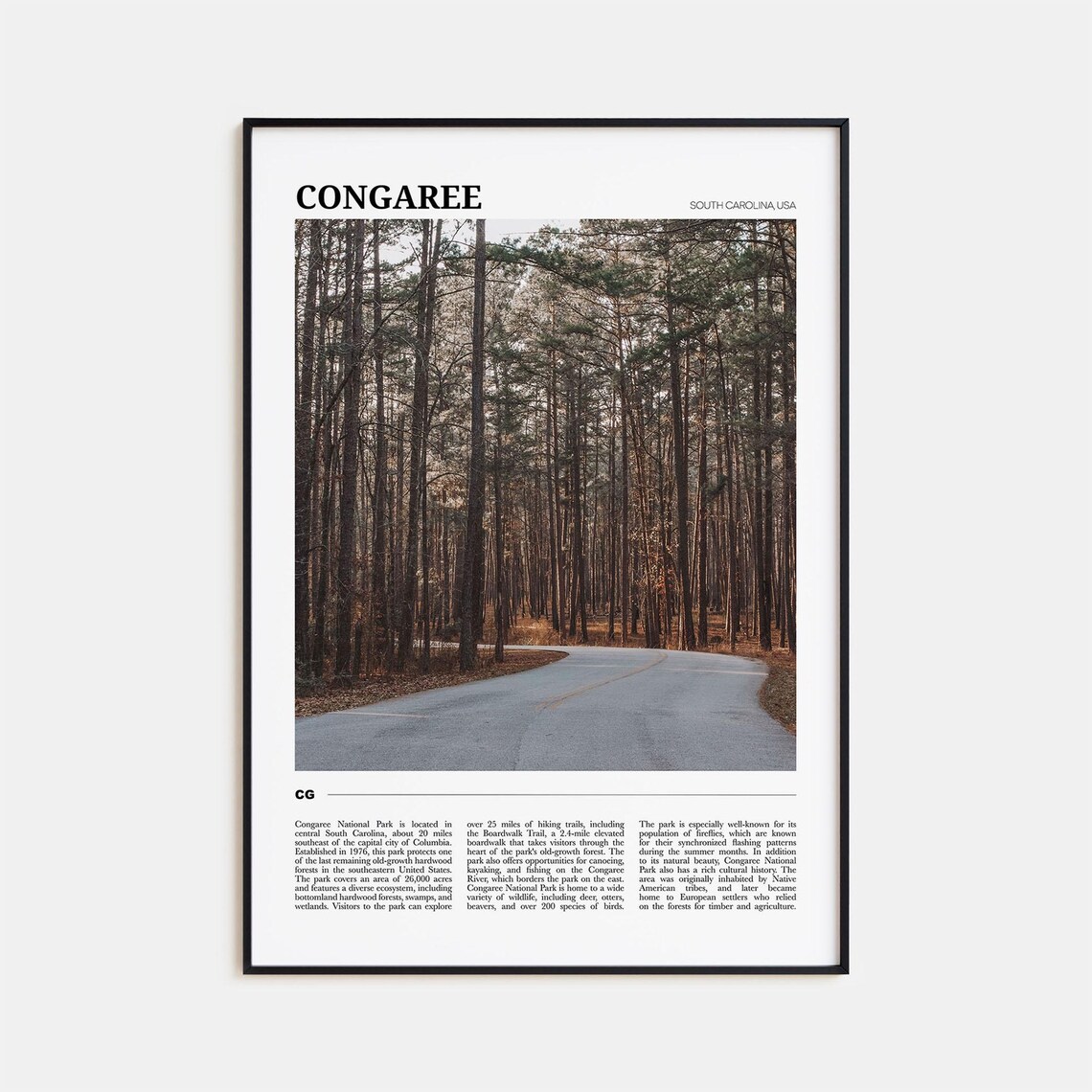 Congaree National Park South Carolina Forest Trail Nature Travel Poster