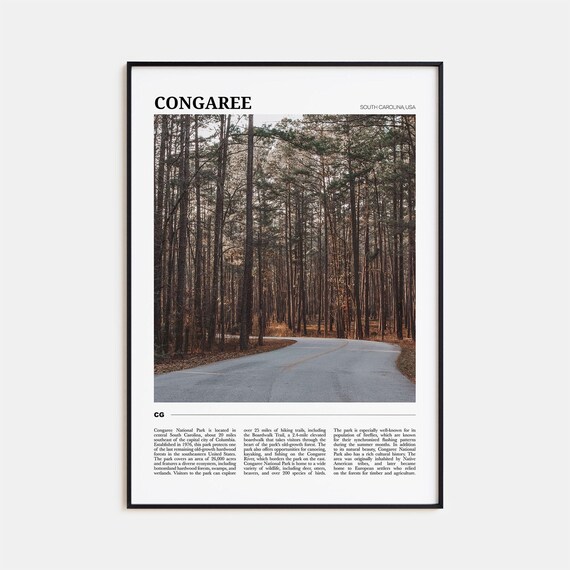 Congaree National Park South Carolina Forest Trail Nature Travel Poster