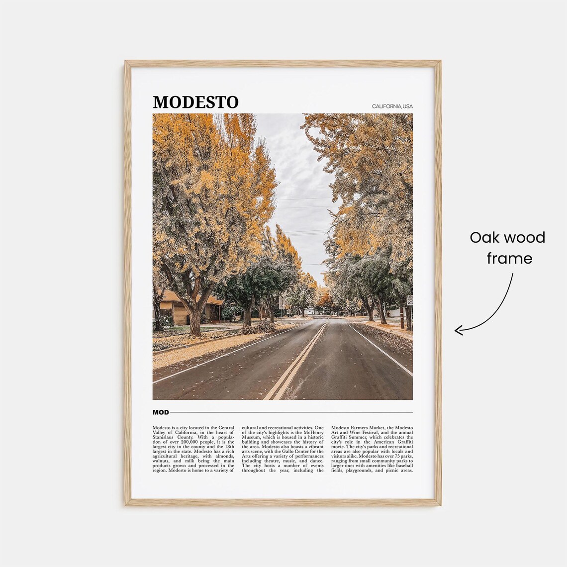 Modesto California Tree Lined Autumn Street Travel Poster Series - Image 3