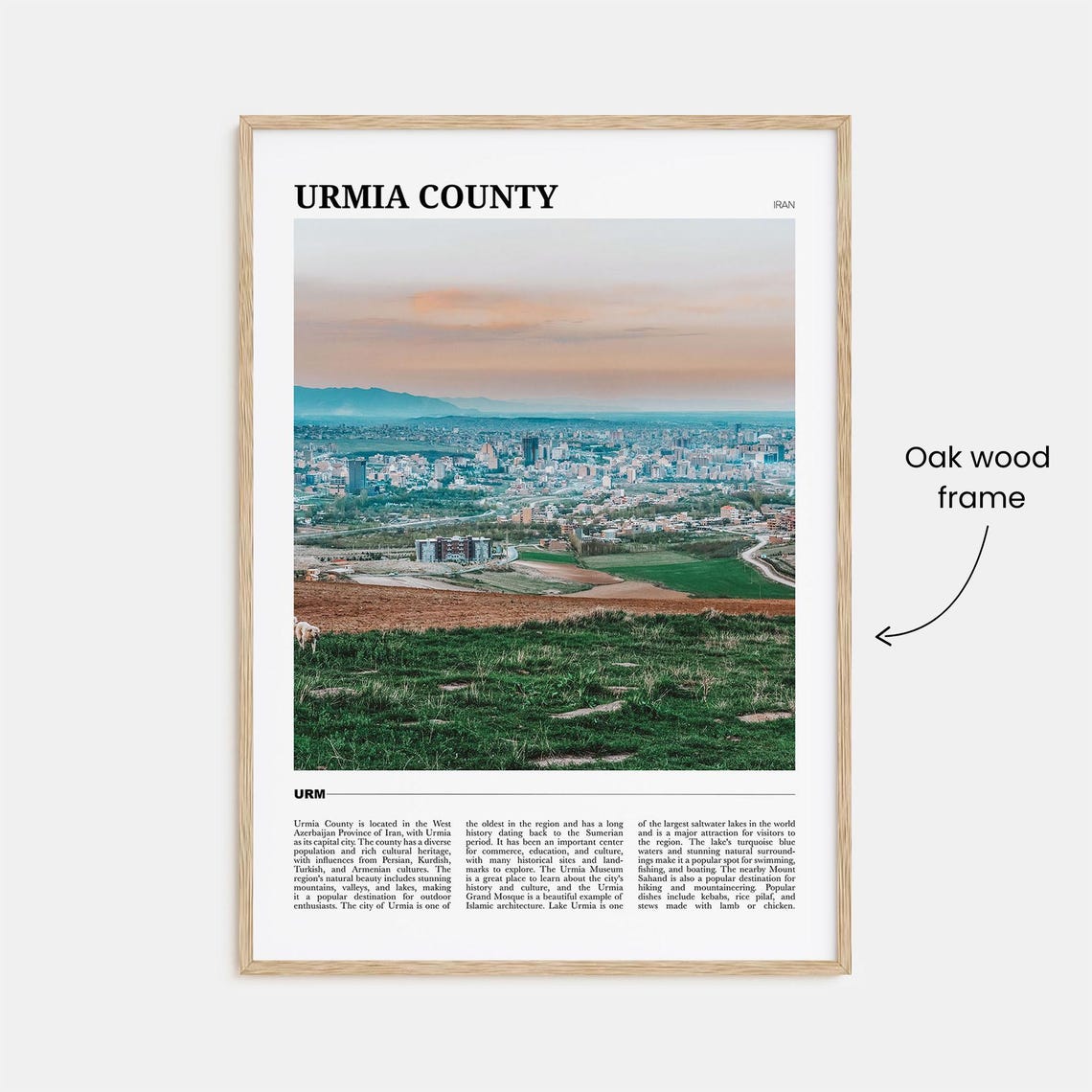 Urmia County Iran City Panorama Mountain View Green Fields Poster - Image 3