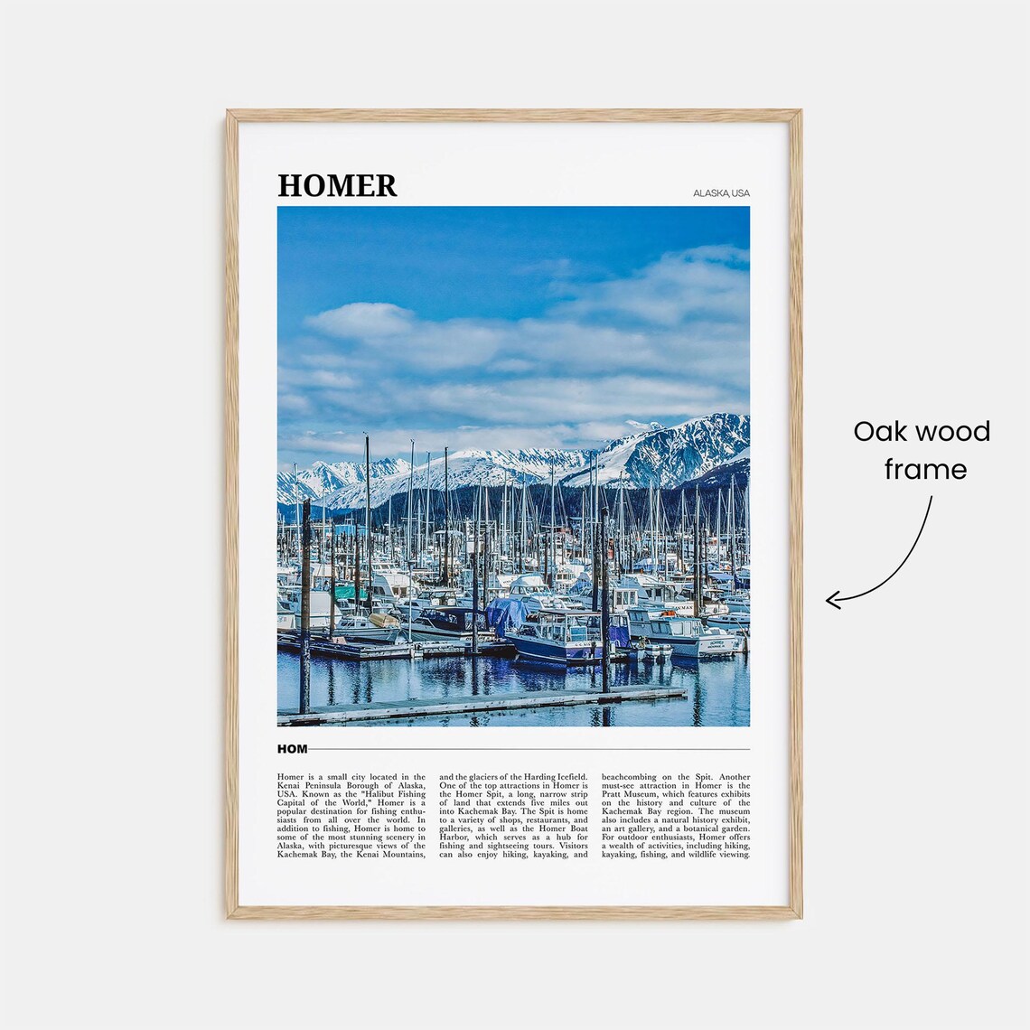 Homer Alaska USA Sport Fishing Harbor Snowy Mountains View Poster - Image 3
