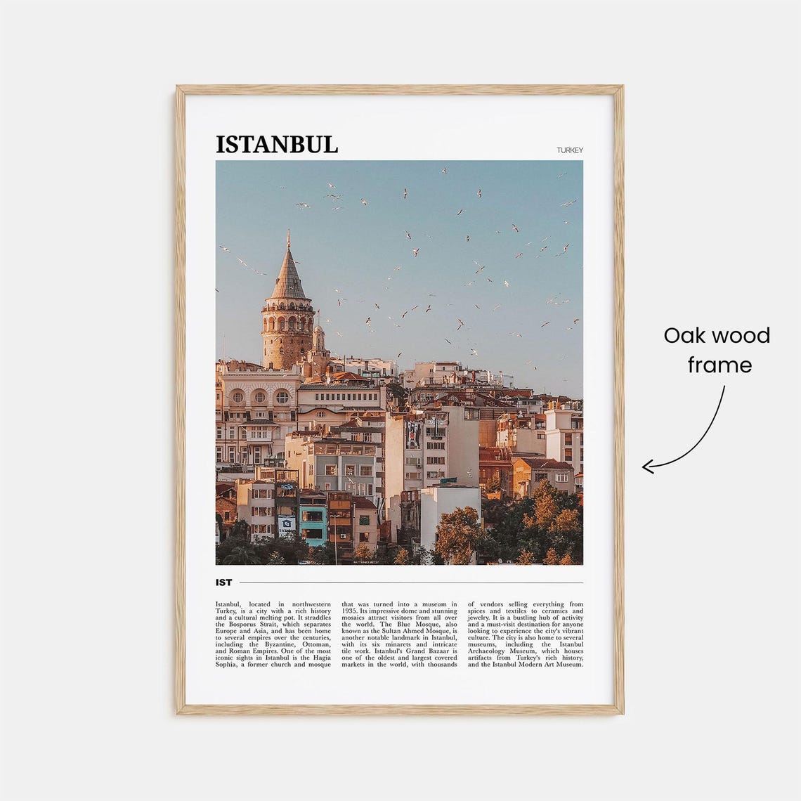 Istanbul Turkey Travel Poster Galata Tower Historic City Skyline View - Image 3