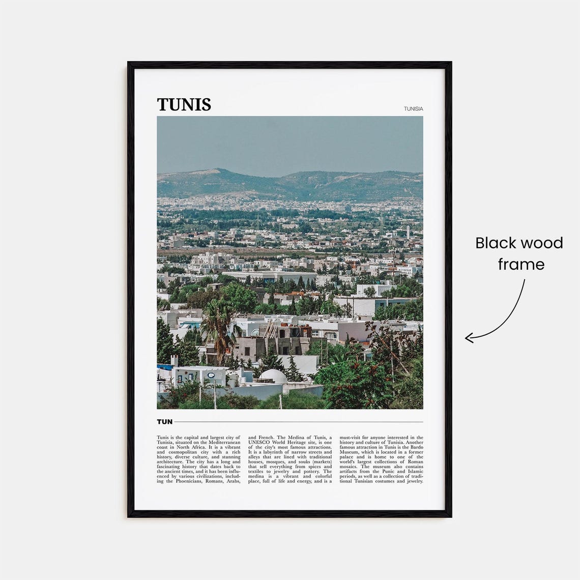Tunis Tunisia White City Mediterranean Coastal Travel Poster - Image 2