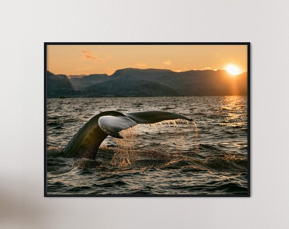 Whale Tail Ocean Sunset Print Nautical Wall Art