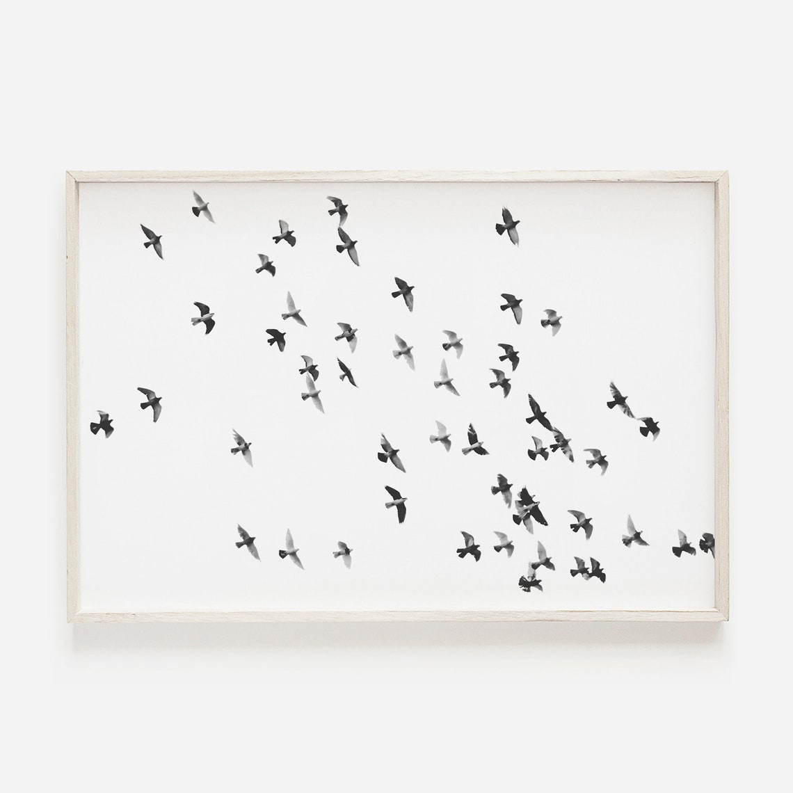 Flock Of Birds In Flight Black White Minimalist Nature Photo Poster